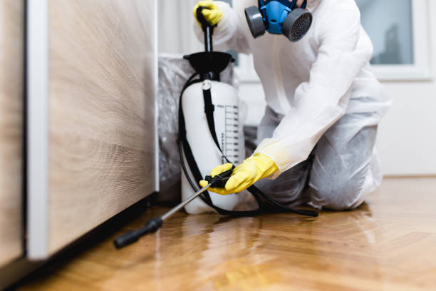 Best Pest Prevention Services  in Largo, MD