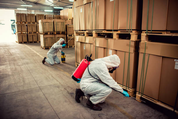 Best Residential Pest Control  in Largo, MD