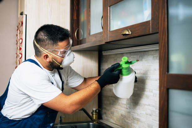 Best Pest Removal Services  in Largo, MD
