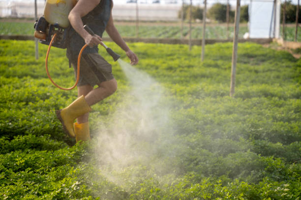 Best Mosquito Control Services  in Largo, MD