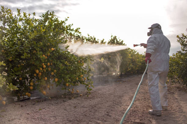 Best Commercial Pest Control Services  in Largo, MD
