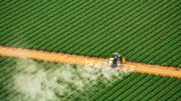 Best Affordable Exterminators  in Largo, MD