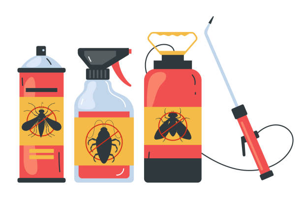 Best Wasp Removal Services  in Largo, MD