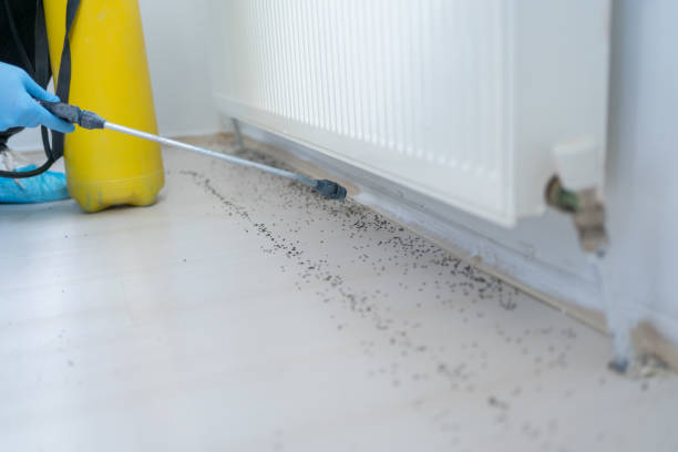 Best Affordable Pest Control Services  in Largo, MD